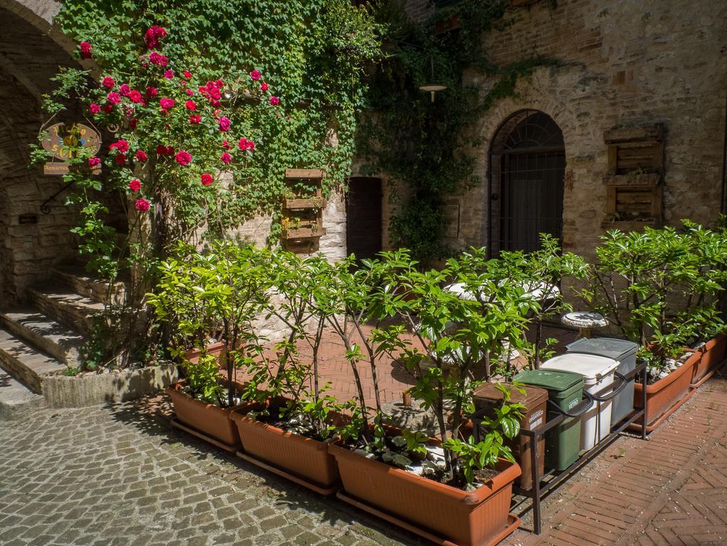 Appartamenti Turistici Vicolo S. Chiara Sassoferrato Eksteriør billede